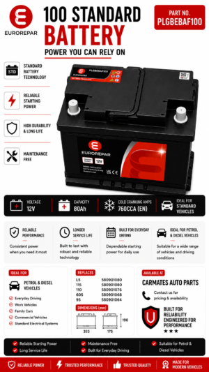 EUROREPAR 100 Standard Battery (PLGBEBAF100)